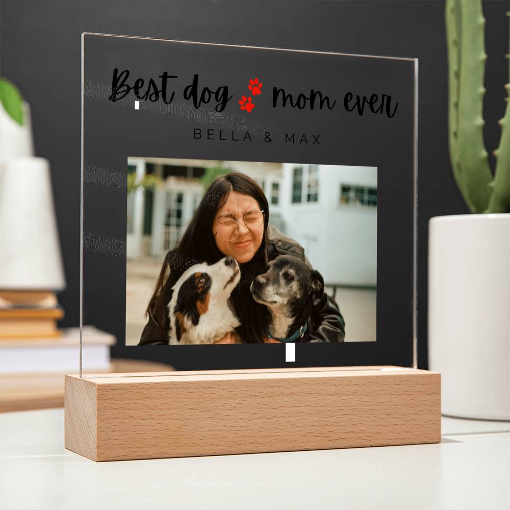 12 Acrylic Square Plaque Best dog mom ever